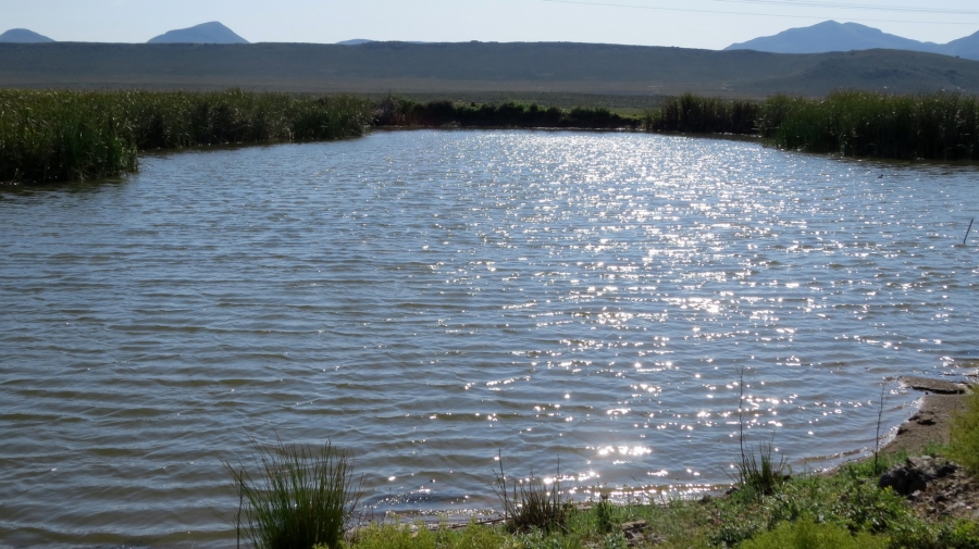Commercial Property for Sale in Montagu Rural Western Cape